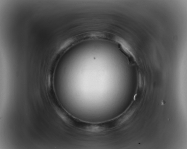 X0000086110253200703301243