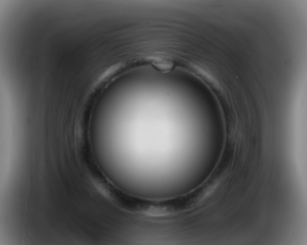 X0000086110256200703301243