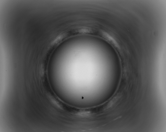 X0000086110257200703301243