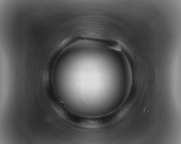 X0000086110260200703301243