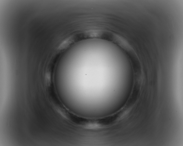 X0000086110262200703301243