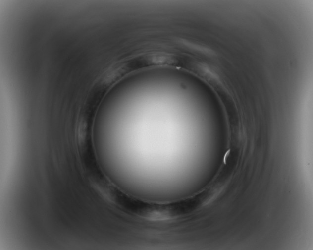 X0000086110263200703301243