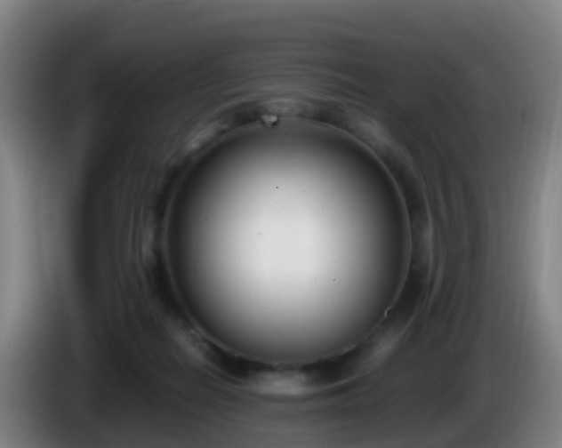 X0000086110266200703301243