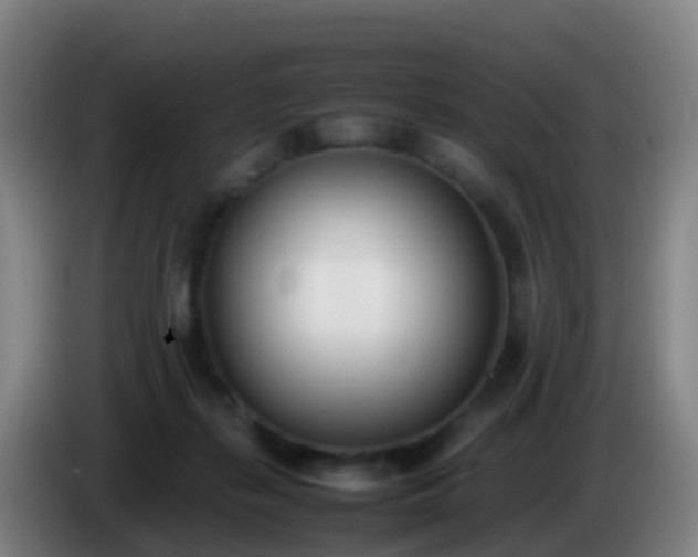 X0000086110267200703301243