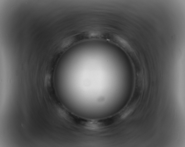 X0000086110269200703301243