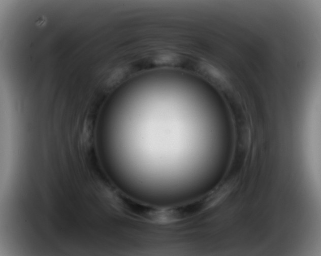 X0000086110273200703301243