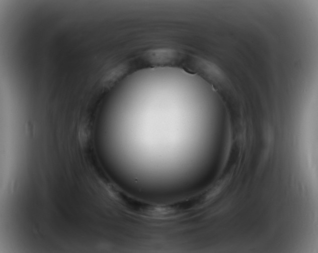 X0000086110277200703301243