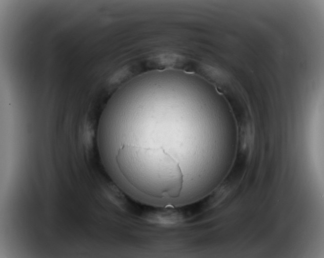 X0000086110279200703301243