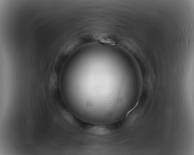 X0000086110280200703301243