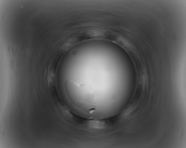 X0000086110281200703301243