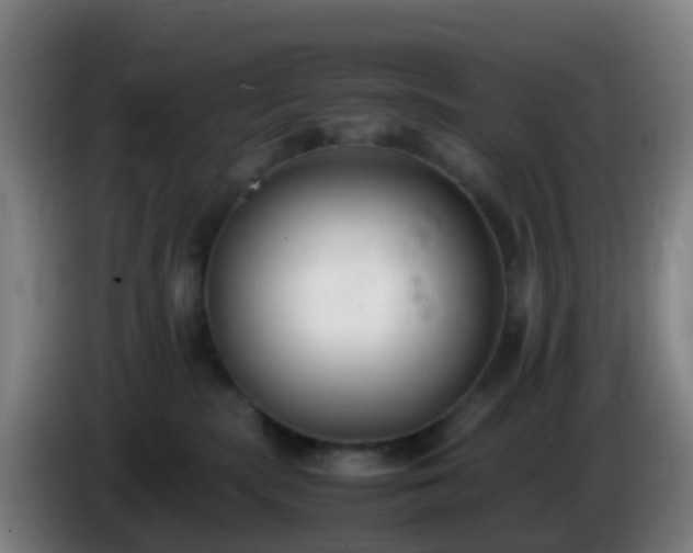 X0000086110283200703301244