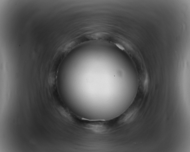 X0000086110284200703301244