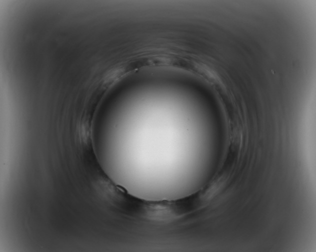 X0000086110285200703301244