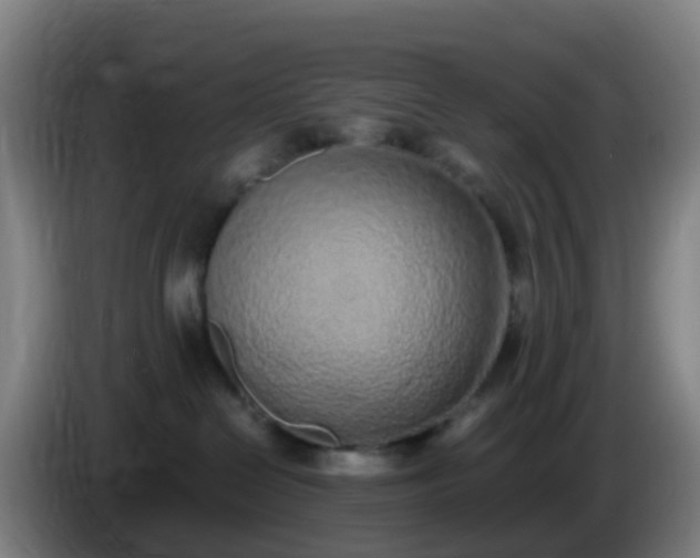 X0000086110286200703301244