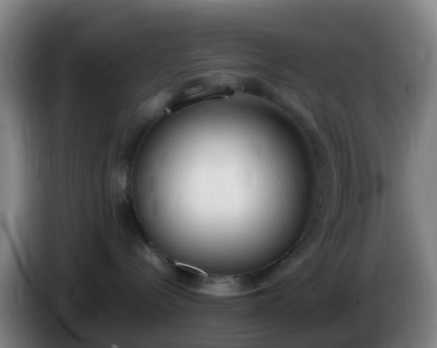 X0000086110288200703301244