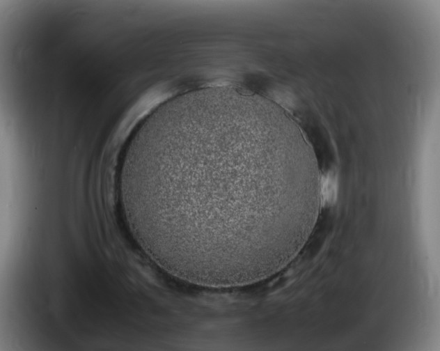 X0000086110291200703301243