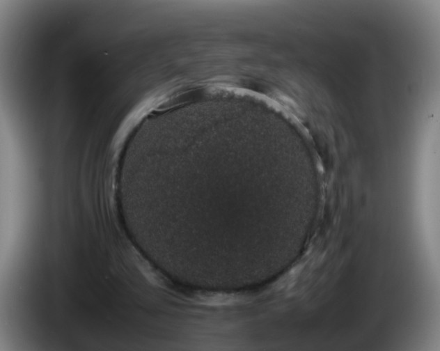 X0000086110293200703301243