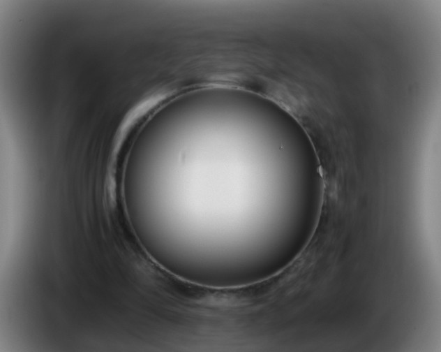 X0000086110294200703301243