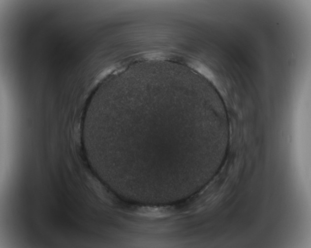 X0000086110297200703301243