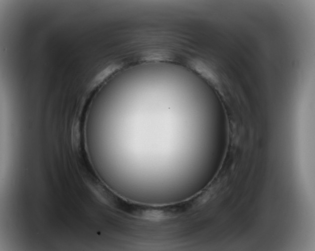 X0000086110298200703301243