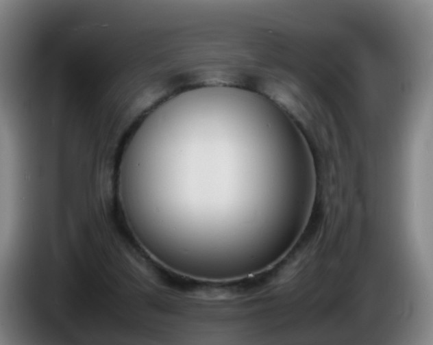 X0000086110299200703301243