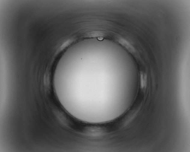 X0000086110300200703301243