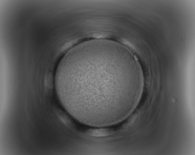 X0000086110303200703301243