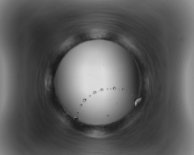 X0000086110308200703301243