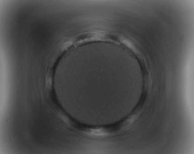 X0000086110309200703301243