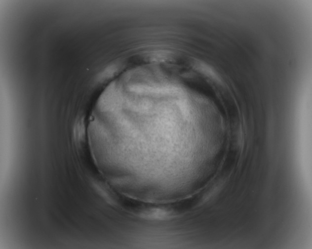 X0000086110310200703301243