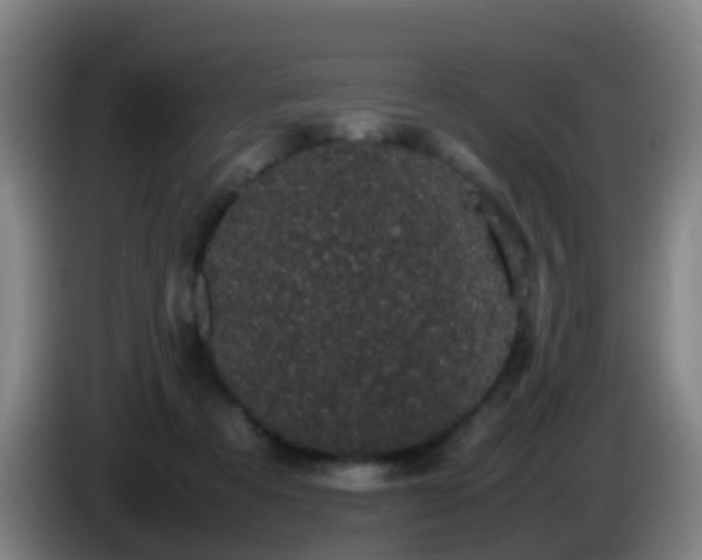 X0000086110313200703301243