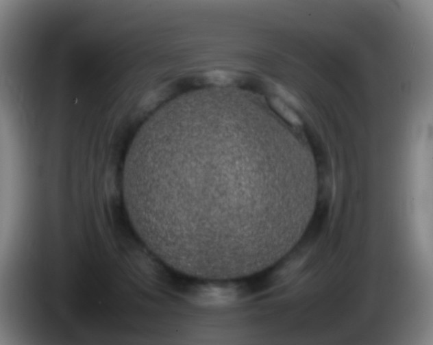 X0000086110317200703301243