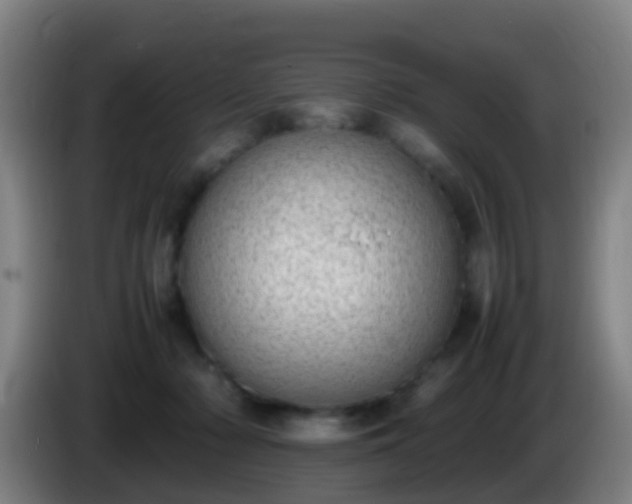 X0000086110318200703301242