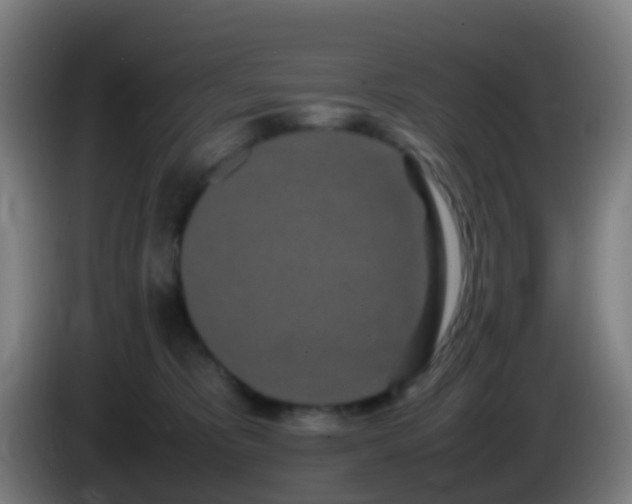 X0000086110325200703301242