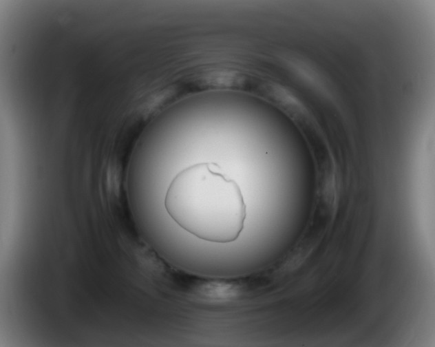 X0000086110326200703301242