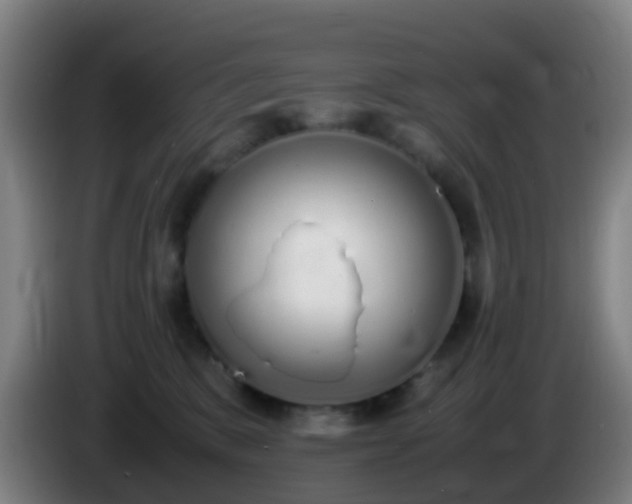 X0000086110327200703301242