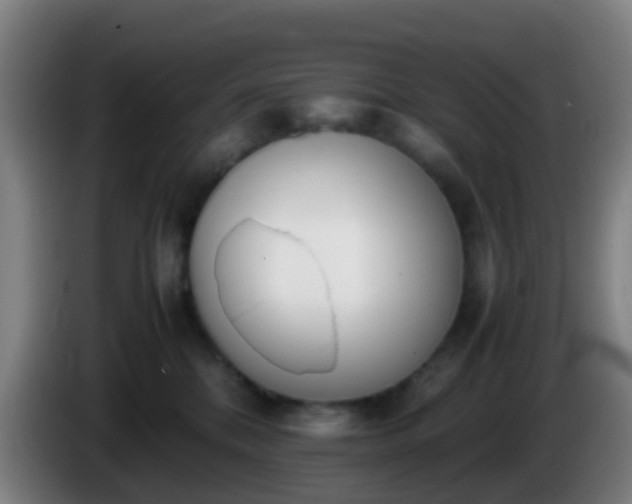 X0000086110328200703301242