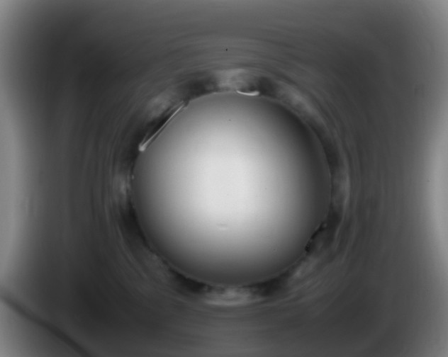 X0000086110329200703301242