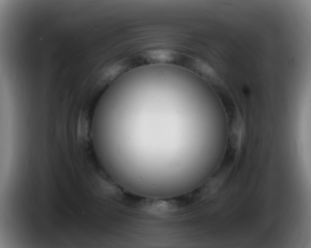 X0000086110330200703301242