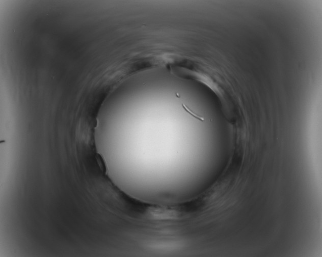 X0000086110331200703301242