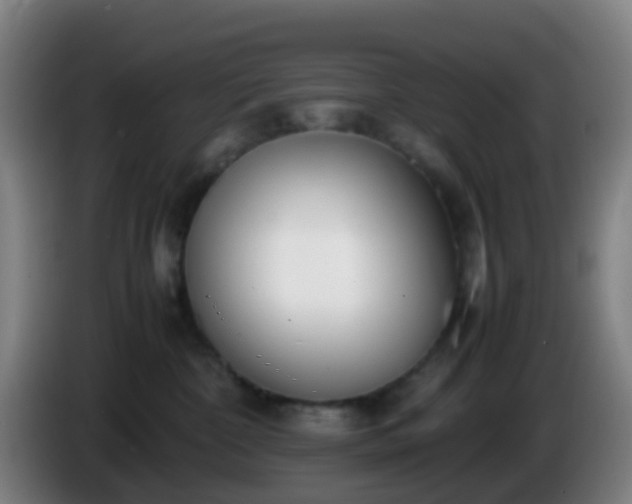 X0000086110332200703301242