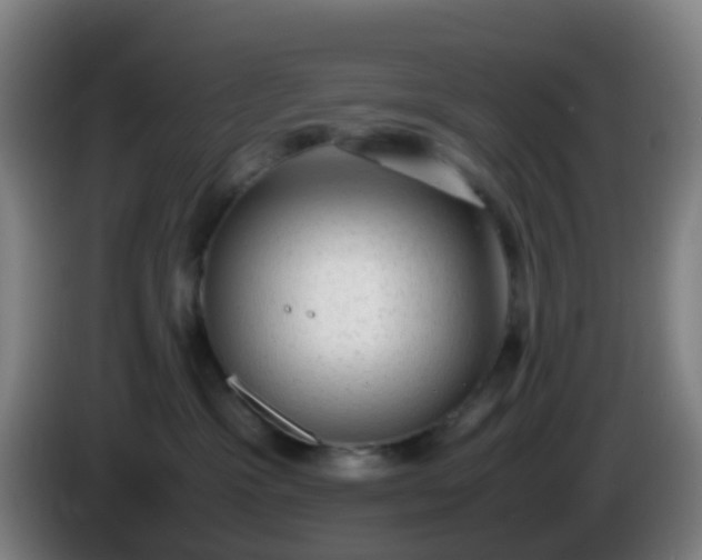 X0000086110333200703301242