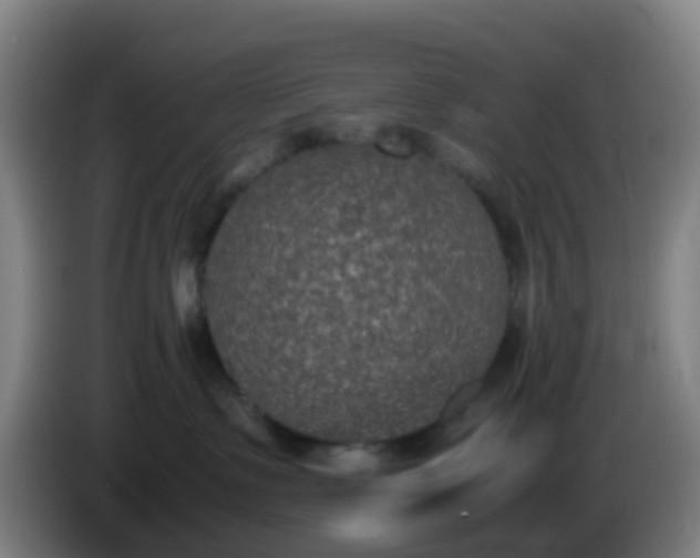 X0000086110335200703301242