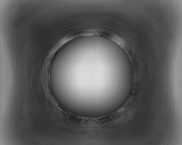 X0000086110337200703301241