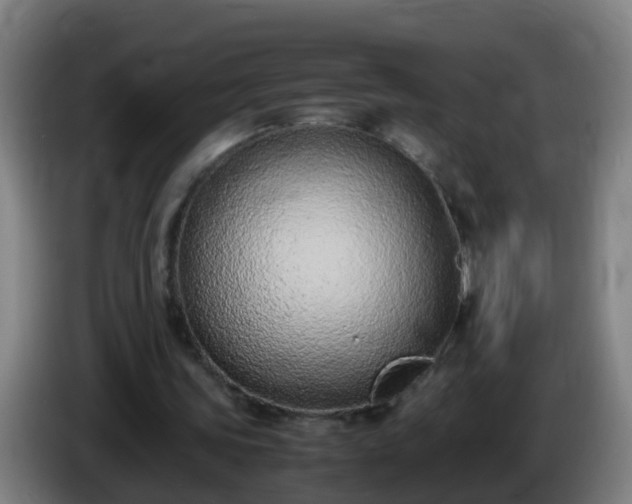 X0000086110339200703301241