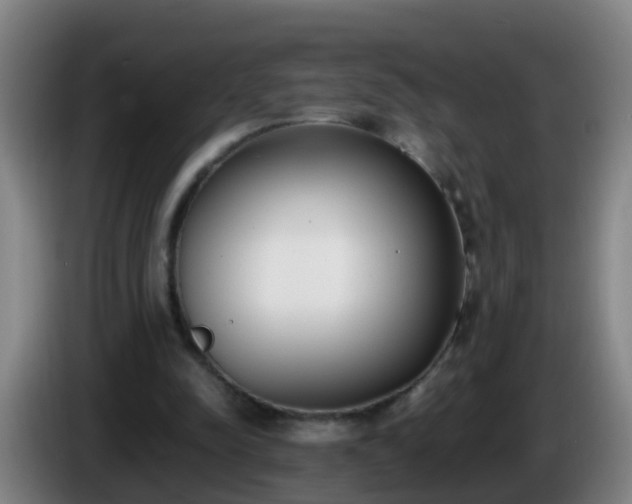 X0000086110342200703301242