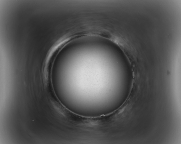 X0000086110343200703301242