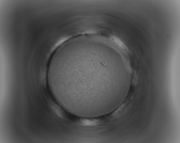 X0000086110346200703301242