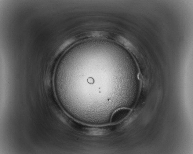 X0000086110347200703301242