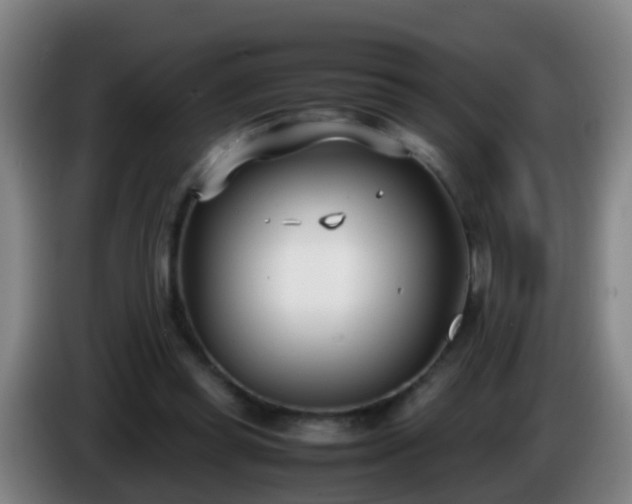 X0000086110349200703301242